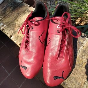 Puma trainers